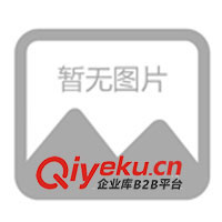 供應應急充電器,手機充電器，電池充電器，促銷充電器